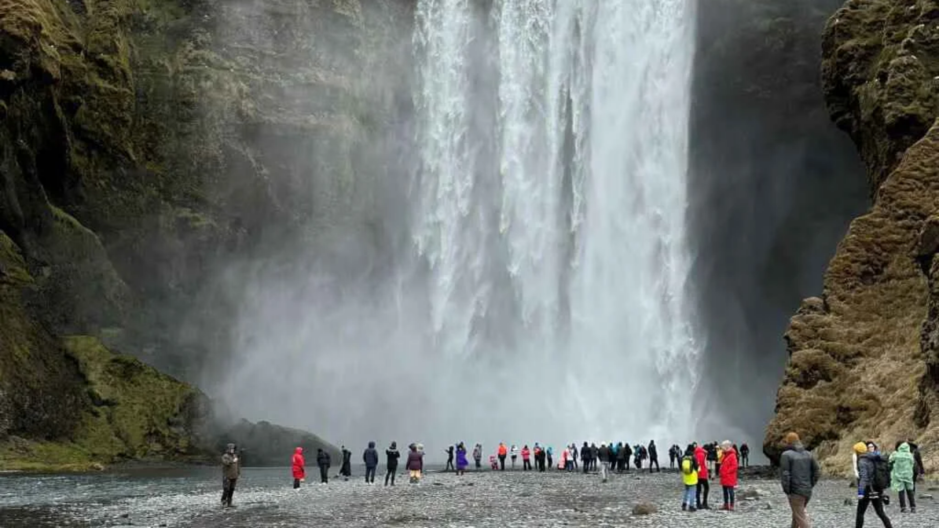 South Coast Spectacular Tour